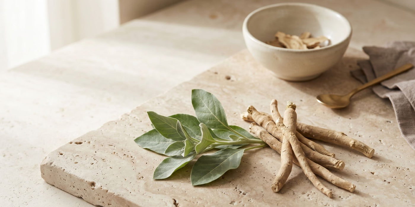 Ashwagandha root on stone with bowl of ashwagandha root