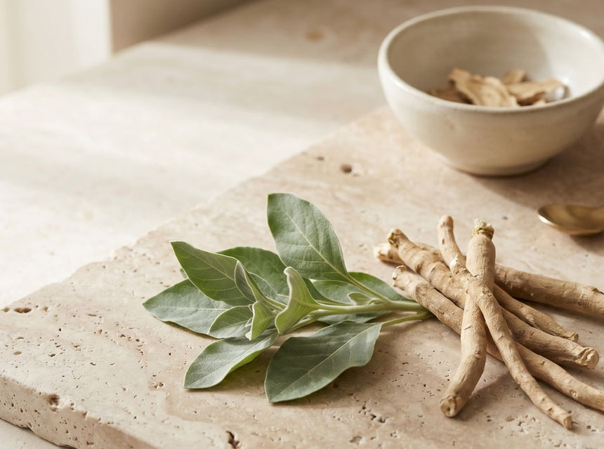 Ashwagandha root on stone with bowl of ashwagandha root