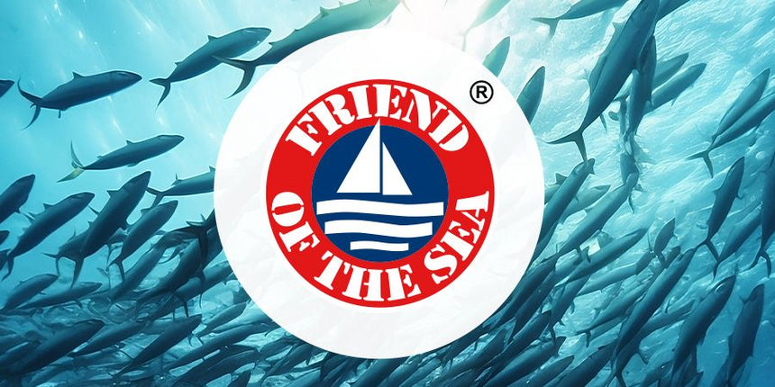Friend of the Sea logo centered over an underwater scene with silhouettes of fish swimming.