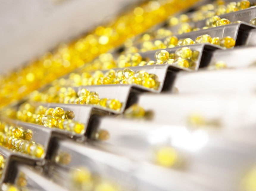 Rows of gold softgel capsules on a conveyor in a supplement production line.