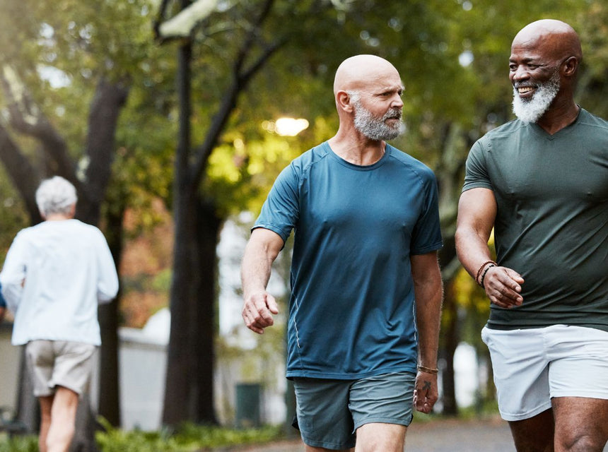 Two older men with beards walking and talking in a park