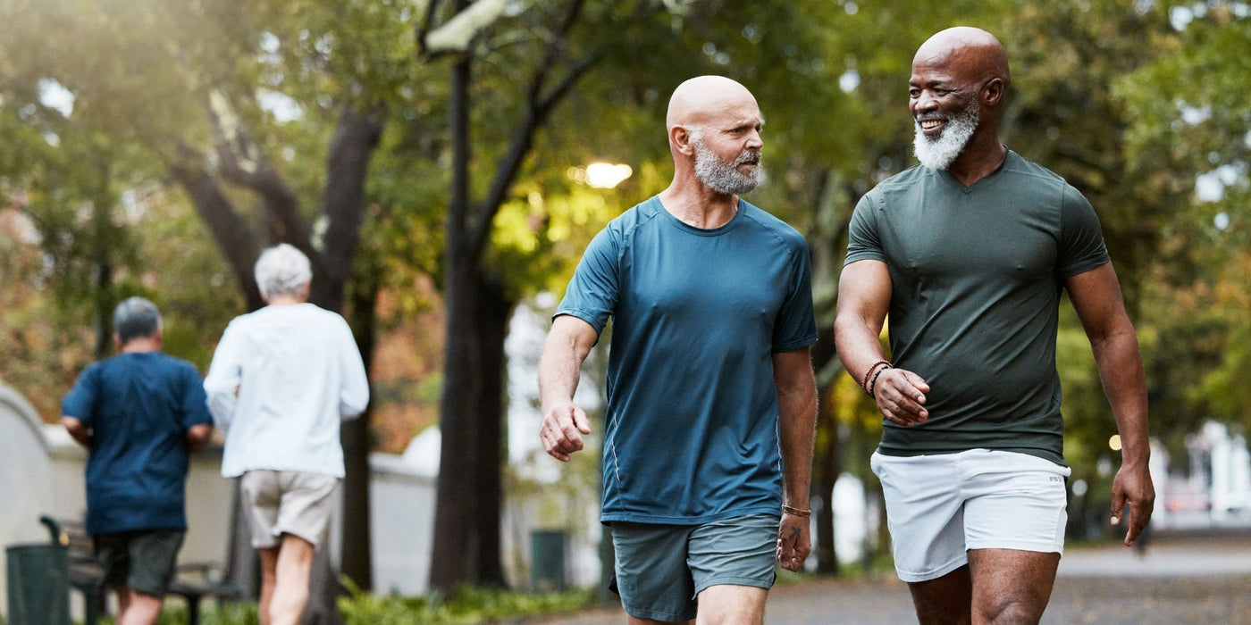 Two older men with beards walking and talking in a park