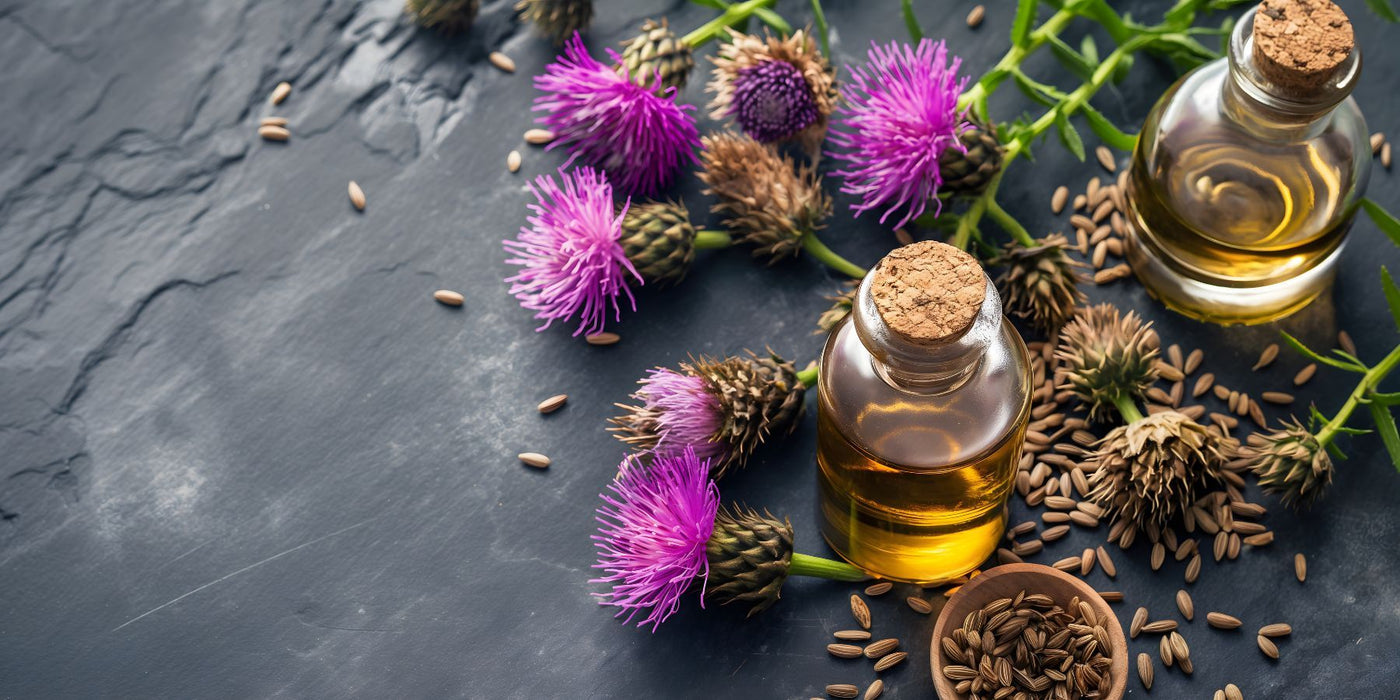 Milk Thistle Benefits – Why It's a Popular Supplement For Liver Health &  More – Zipvit