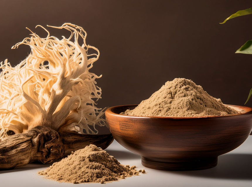 Dried lion's mane mushroom beside a wooden bowl of ashwagandha powder and loose powder.