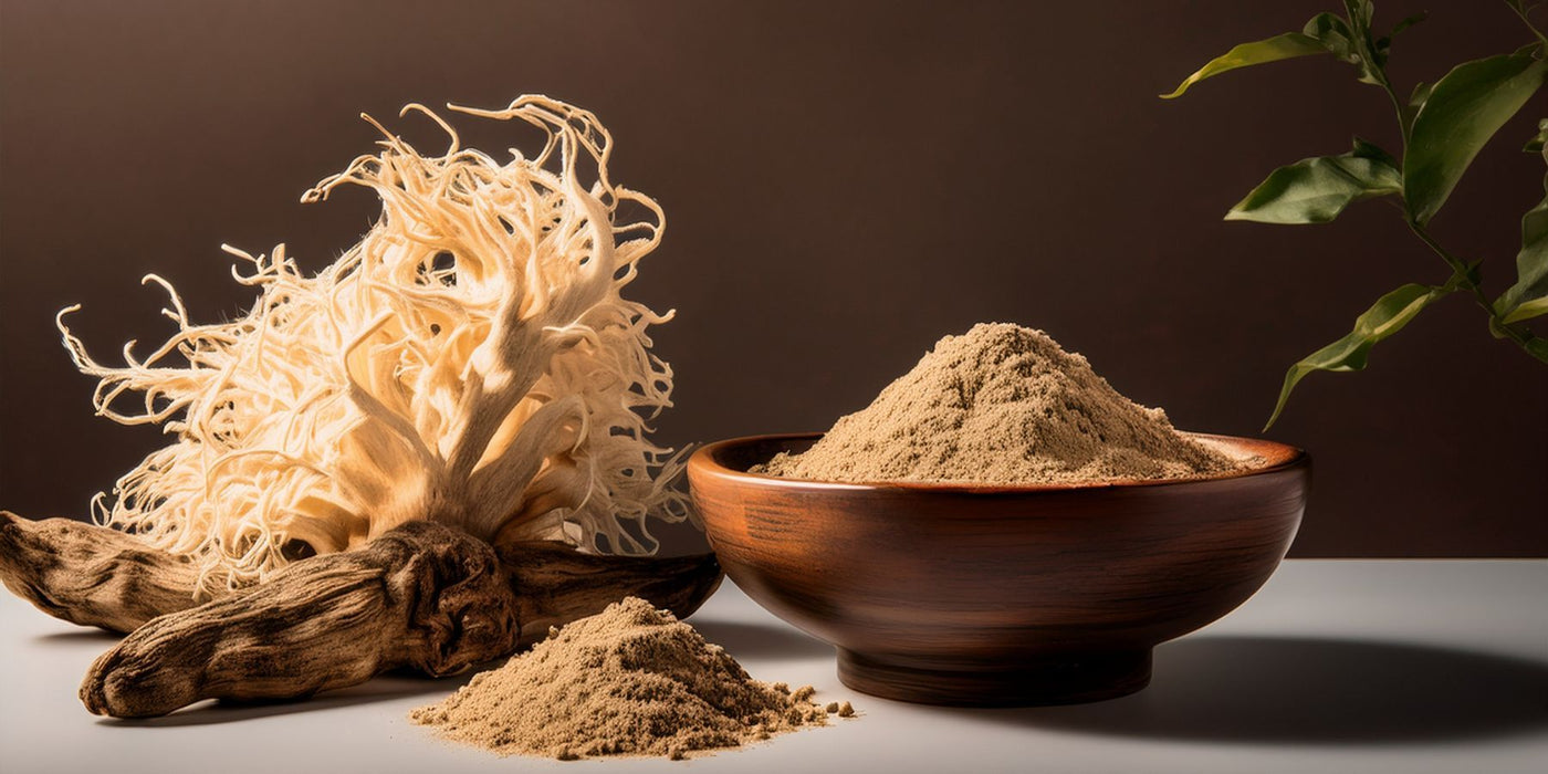 Dried lion's mane mushroom beside a wooden bowl of ashwagandha powder and loose powder.