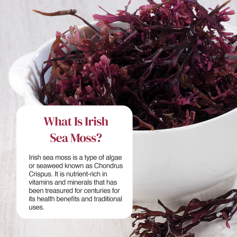 Bowl of purple Irish sea moss with a white rounded card overlay reading What Is Irish Sea Moss.