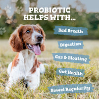 Dog in a grassy field with blue caption blocks listing probiotic powder benefits