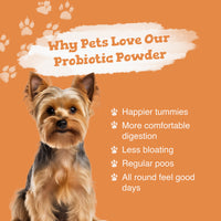 Bright orange promotional graphic featuring a small dog and bullet style text about why pets love probiotic powder