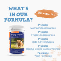 Probiotic dog supplement bottle on a white background with What s in our formula graphic and paw print accents.