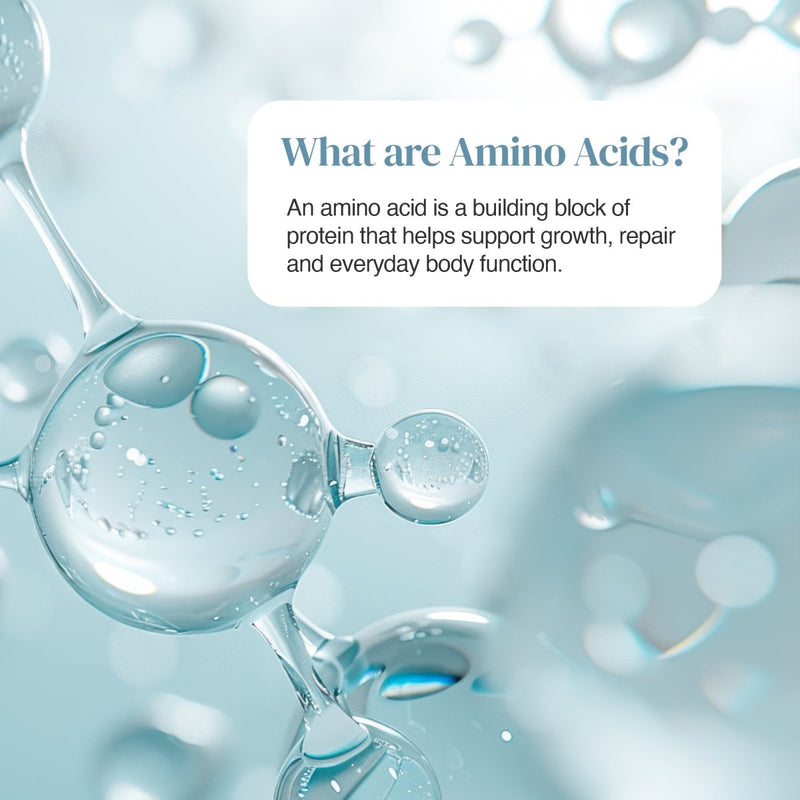What are Amino Acids educational graphic with a blue molecular background and a white rounded text box describing amino acids as building blocks of protein