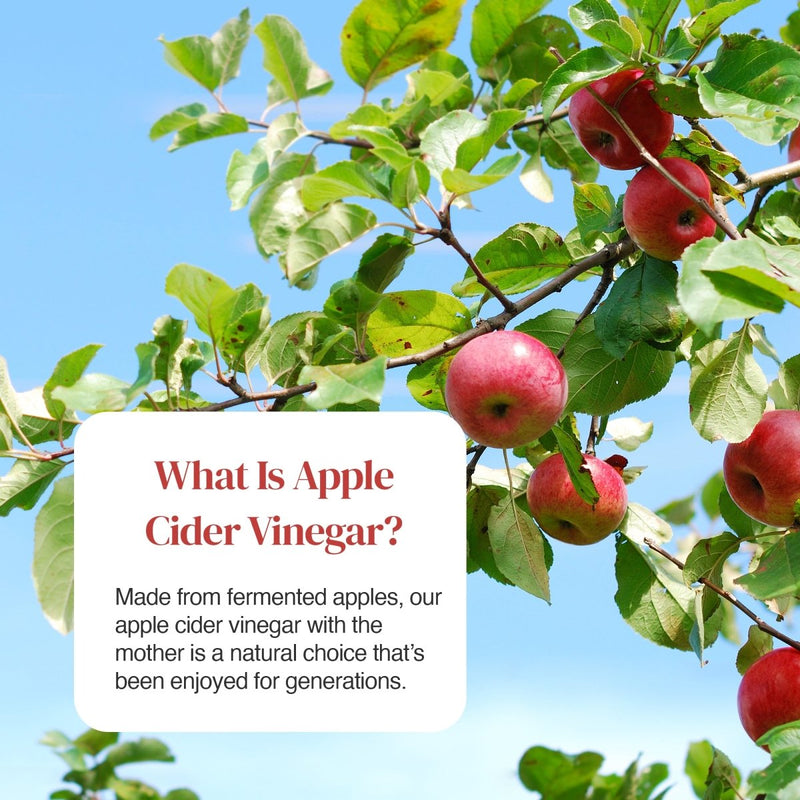 Ripe red apples on a tree with a white rounded label that reads What Is Apple Cider Vinegar
