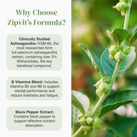 Infographic style image explaining Zipvit formula with three circular icons on the left and a close up plant on the right.