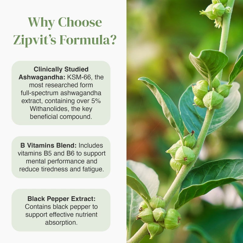 Infographic style image explaining Zipvit formula with three circular icons on the left and a close up plant on the right.