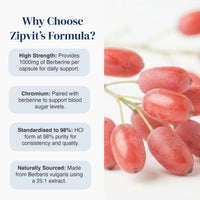 Promotional graphic for Zipvit's Formula highlighting key benefits: high strength berberine, chromium, standardized to 98% HCl, and natural sourcing from Berberis vulgaris, shown alongside a close-up photo of red berries on the right.