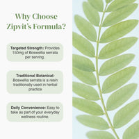 Boswellia Serrata 150mg product feature panel with left text blocks and a large green leaf on the right