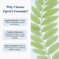Promotional graphic for Zipvit's Formula highlighting key benefits: targeted strength with 150mg of Boswellia serrata, traditional botanical origin, and daily convenience, set against a split white and light blue background with a green leaf illustration.