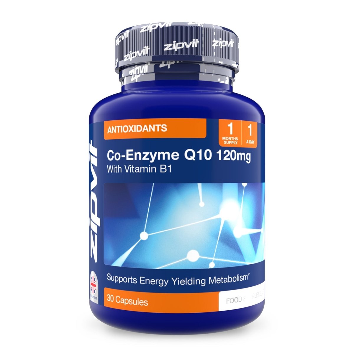 Co Enzyme Q10