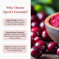 Why Choose Zipvit's Formula infographic with three rounded benefit panels on the left and a bowl of cranberry powder on the right