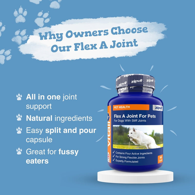 Blue bottle of Flex A Joint For Pets supplement on a white pedestal with a visible label