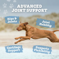 Flex A Joint for Pets - Zipvit