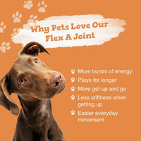 Flex A Joint for Pets - Zipvit