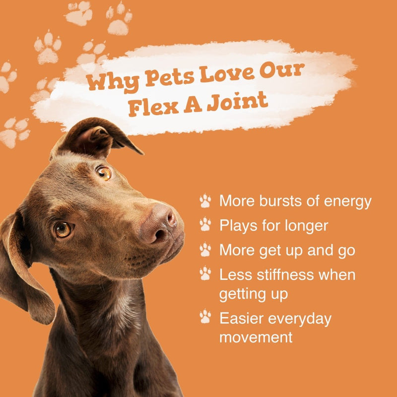 Flex A Joint for Pets - Zipvit