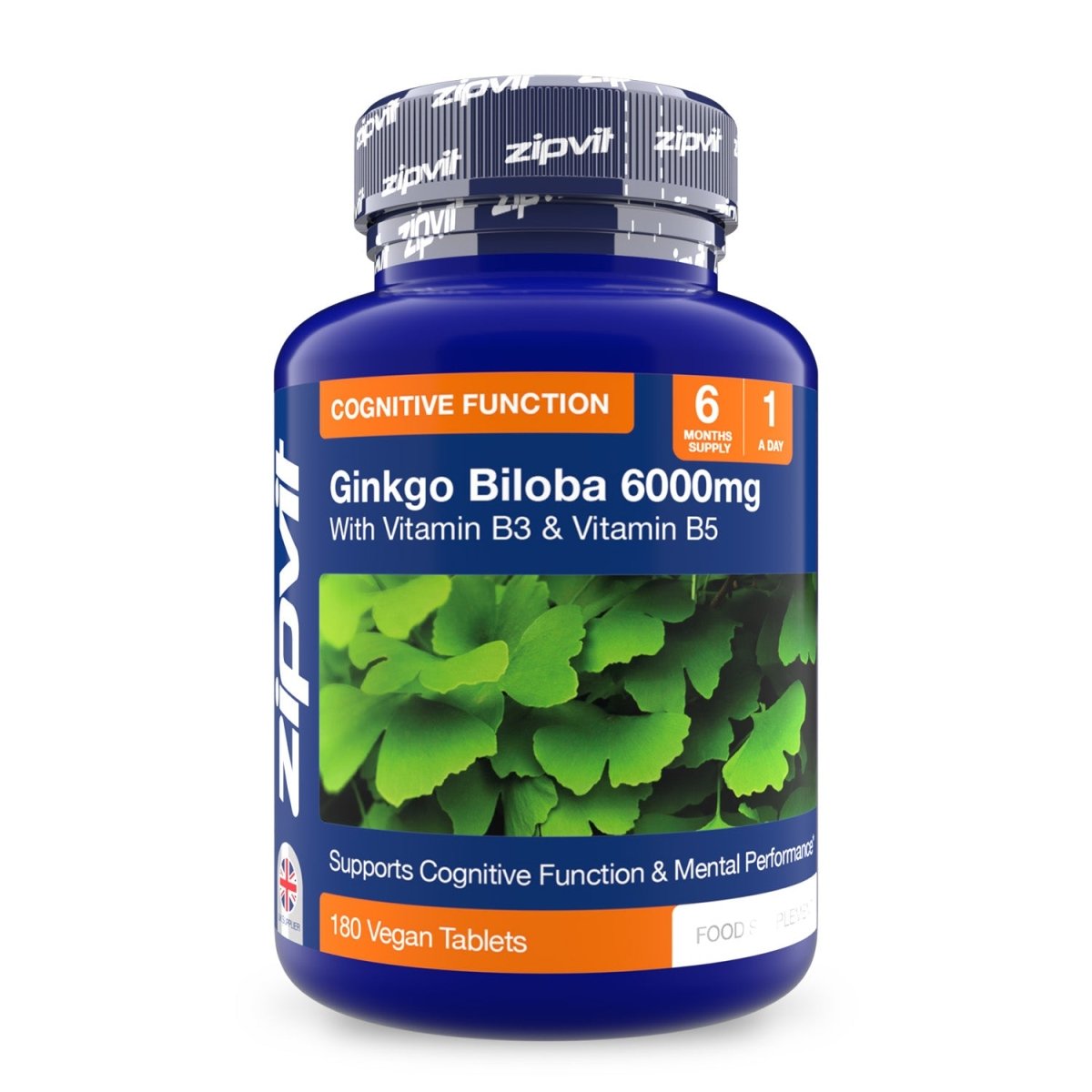 Ginkgo Biloba