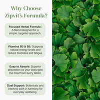 Why Choose Zipvit's Formula panel with vitamins B3 and B5 beside a lush green leaf background.