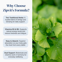 Promotional graphic for Zipvit's Formula featuring text on the left and a close-up photo of green ginkgo leaves on the right. The text highlights two traditional herbs, vitamins B3 & B5, and dual support benefits.