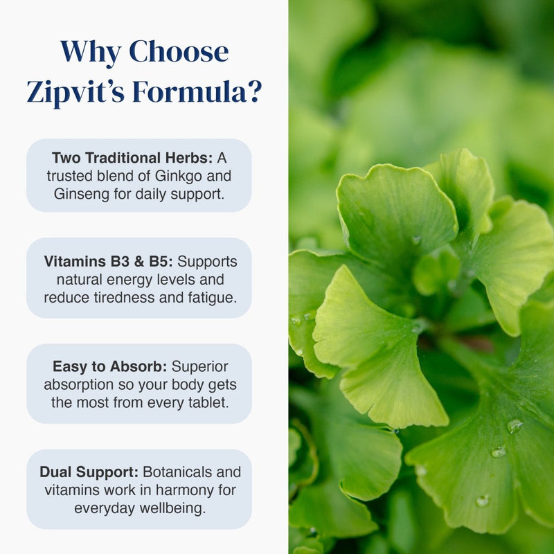 Promotional graphic for Zipvit's Formula featuring text on the left and a close-up photo of green ginkgo leaves on the right. The text highlights two traditional herbs, vitamins B3 & B5, and dual support benefits.