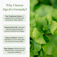 Why Choose Zipvit's Formula infographic with a leafy green photo on the right and benefits listed on the left.