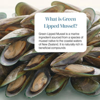 Pile of green lipped mussels with a white rounded information panel titled What is Green Lipped Mussel