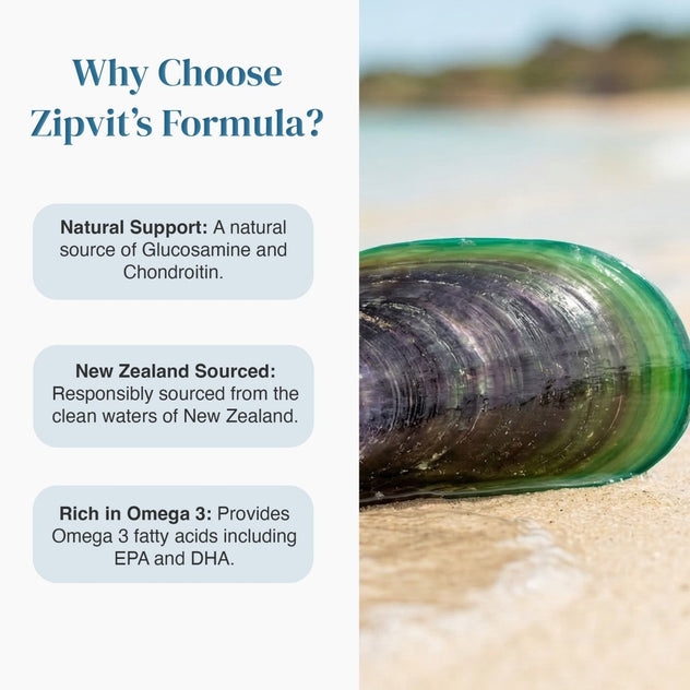 Left side lists Zipvit Formula benefits while a green mussel rests on sand to the right.