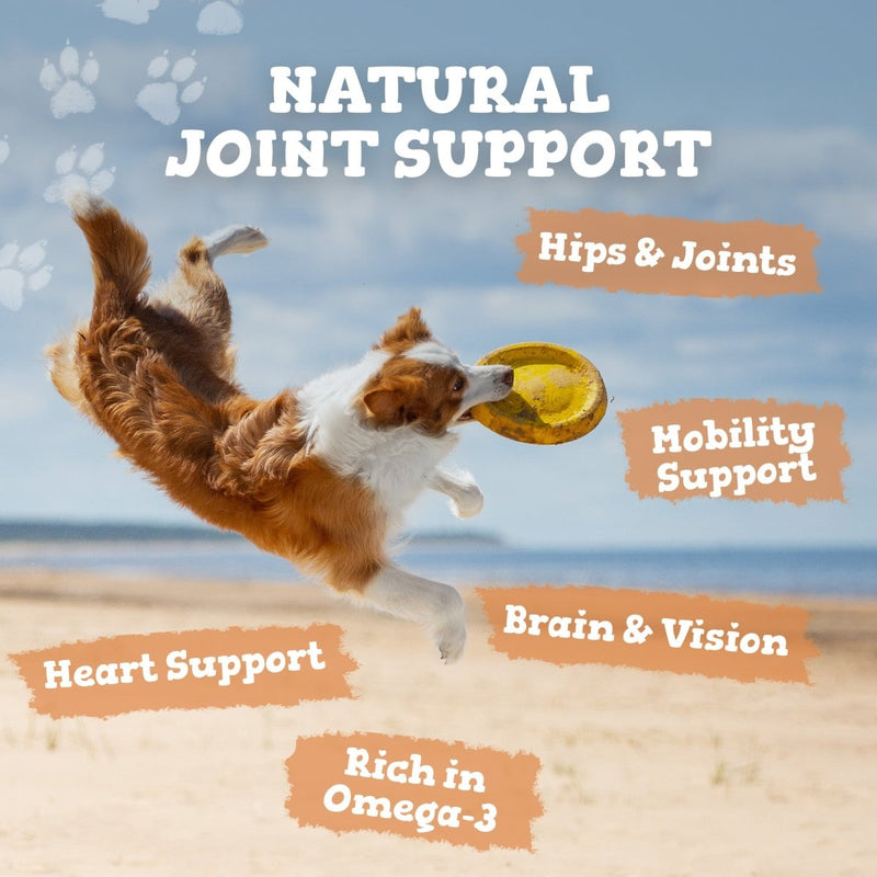 Dog jumping to catch a frisbee on a beach with text about natural joint support.