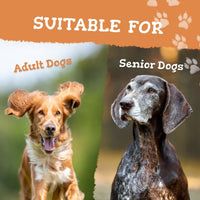 Two dogs, one brown and one gray, with text indicating suitability for adult and senior dogs on an orange background with paw prints.