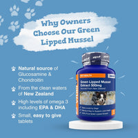 Blue promotional image with Green Lipped Mussel Extract 500mg bottle displayed on a stand