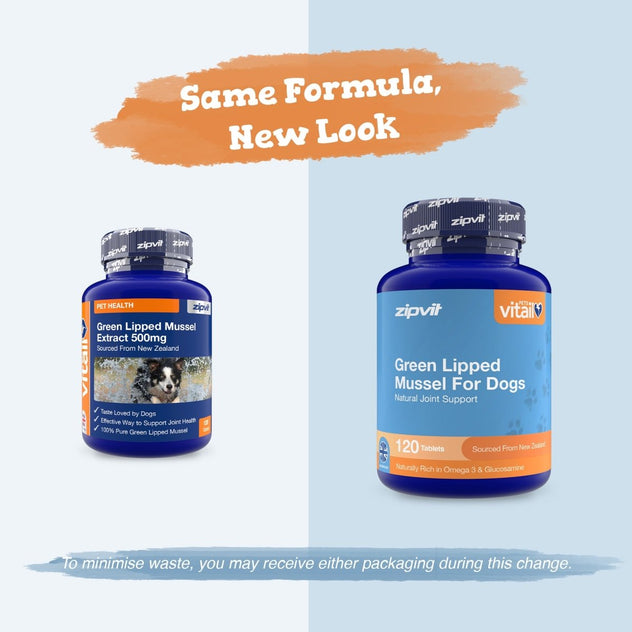 Green Lipped Mussel for Dogs 500mg - Zipvit
