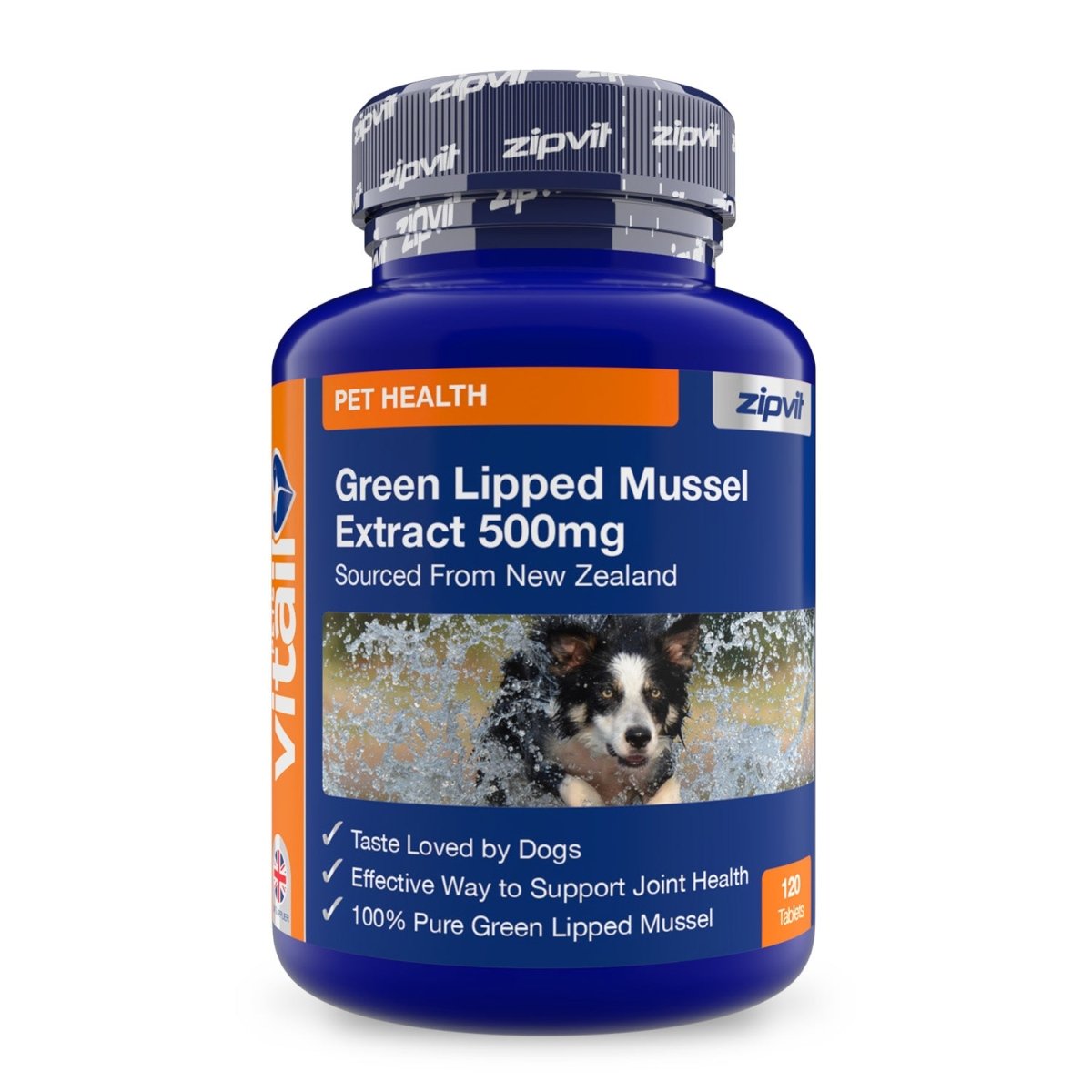 Lipped Mussel Dogs