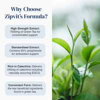 Promotional graphic for Zipit's Formula green tea extract, featuring text callouts on the left and a close-up photo of fresh green tea leaves on the right.