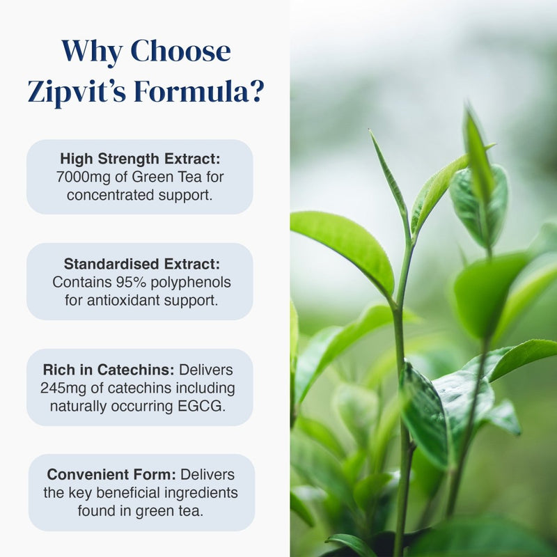 Promotional graphic for Zipit's Formula green tea extract, featuring text callouts on the left and a close-up photo of fresh green tea leaves on the right.