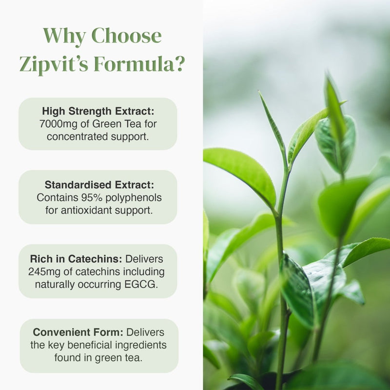 Infographic highlighting Green Tea 7000mg benefits with rounded feature pills beside a tea plant photograph.