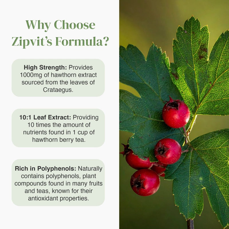 Hawthorn 1000mg | Botanical Antioxidant Support | Zipvit