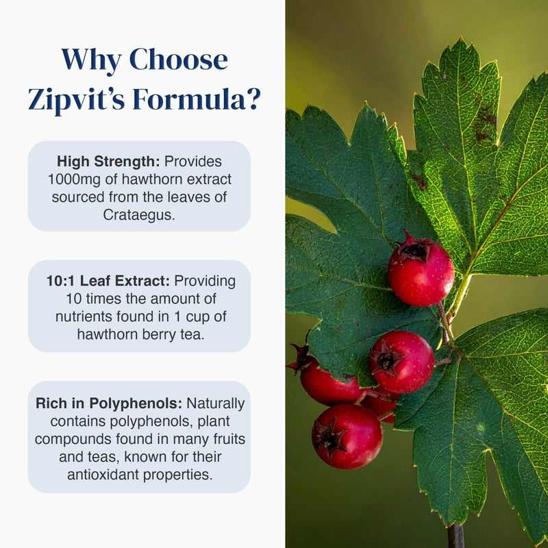 An informational graphic with the headline 'Why Choose Zipit's Formula?' on a white background, alongside three benefit callouts about high strength, 10:1 leaf extract, and polyphenol content. The right side shows a close-up photo of green hawthorn leaves and red berries.