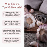 Why Choose Zipvit's Formula infographic with four benefit panels on the left and a garlic bulb image on the right.