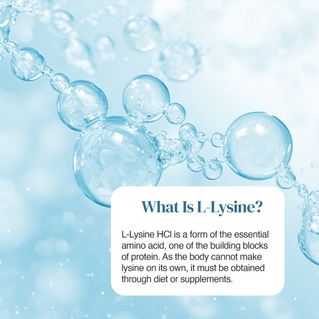 Blue molecular background with bubble shapes and a white rounded card reading What Is L-Lysine