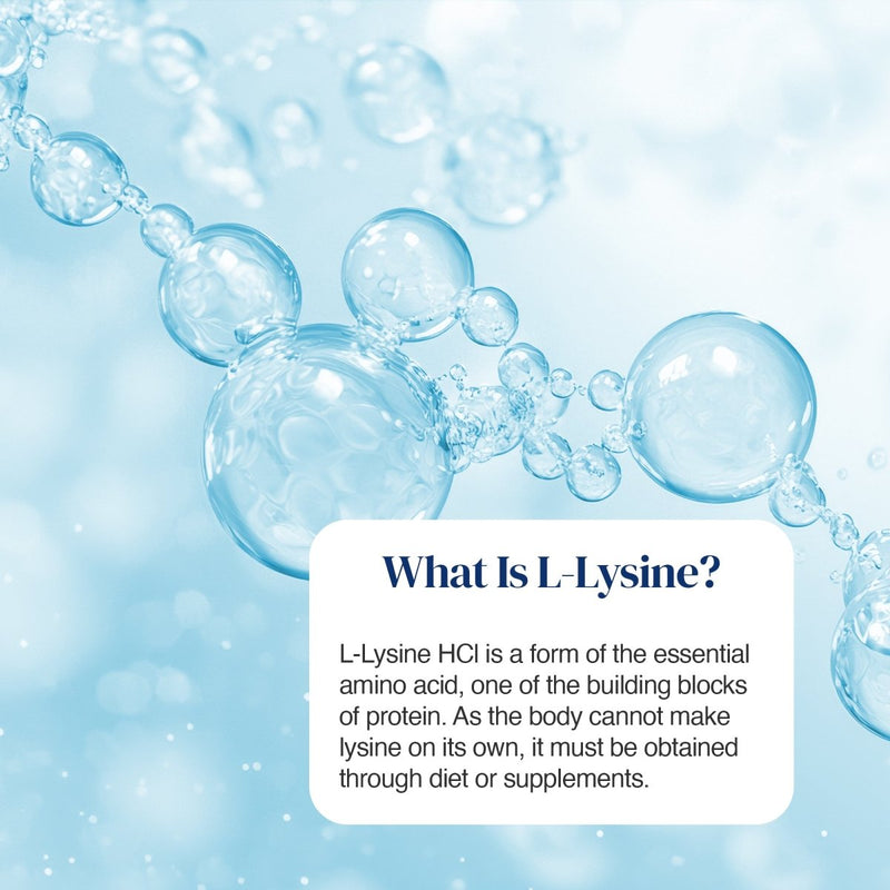 An informational graphic with a light blue bubbly background and a white rounded text box reading, 'What Is L-Lysine?' followed by a paragraph explaining that L-Lysine HCl is an essential amino acid and must be obtained through diet or supplements.
