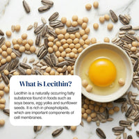 An egg yolk in a small white bowl surrounded by soybeans, sunflower seeds, and lecithin-rich foods on a light marble surface, with a text box explaining what lecithin is.