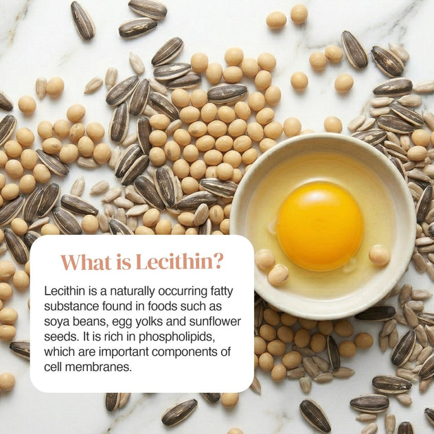 Lecithin 1200mg product hero showing a raw egg yolk in a bowl with soybeans and seeds scattered around