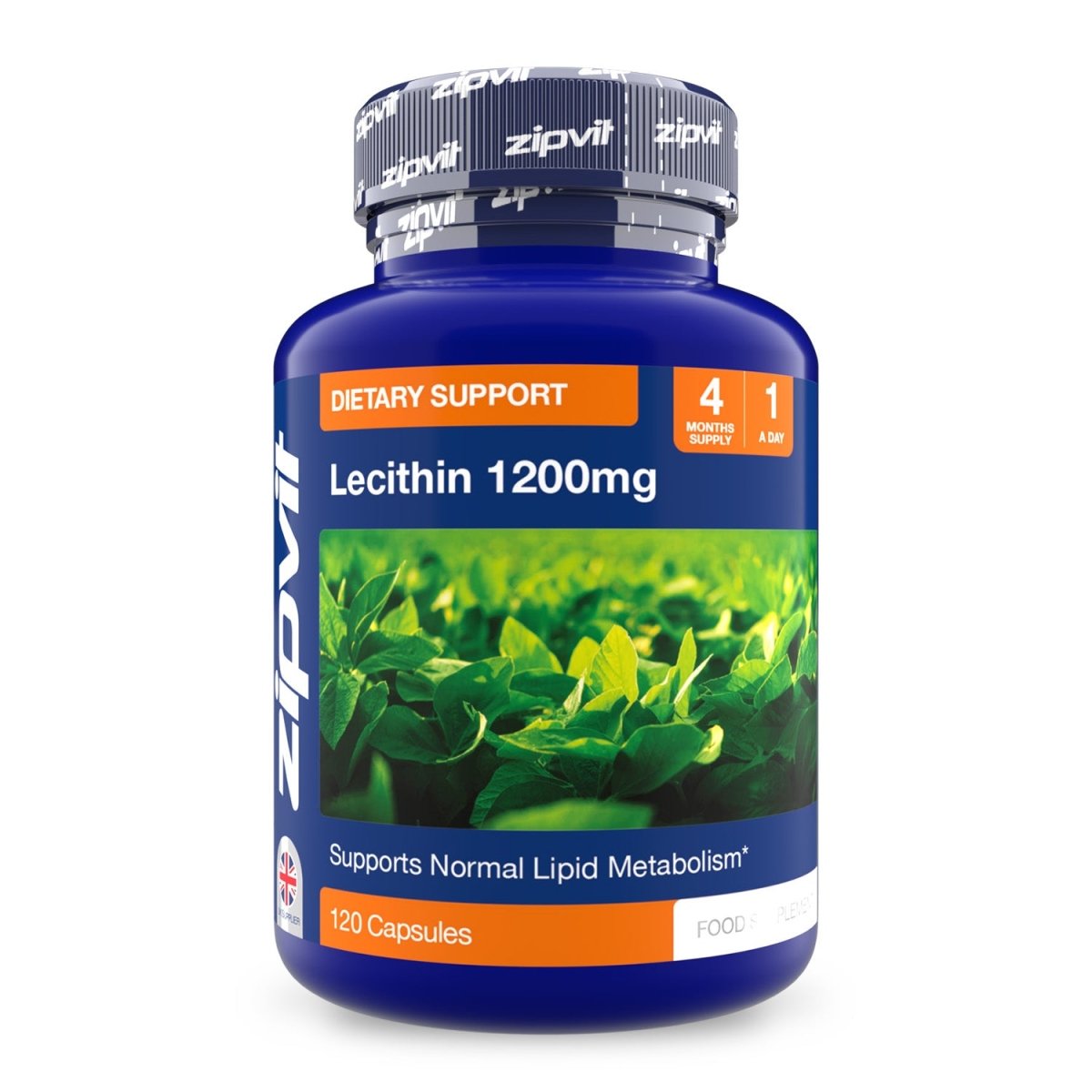 Lecithin