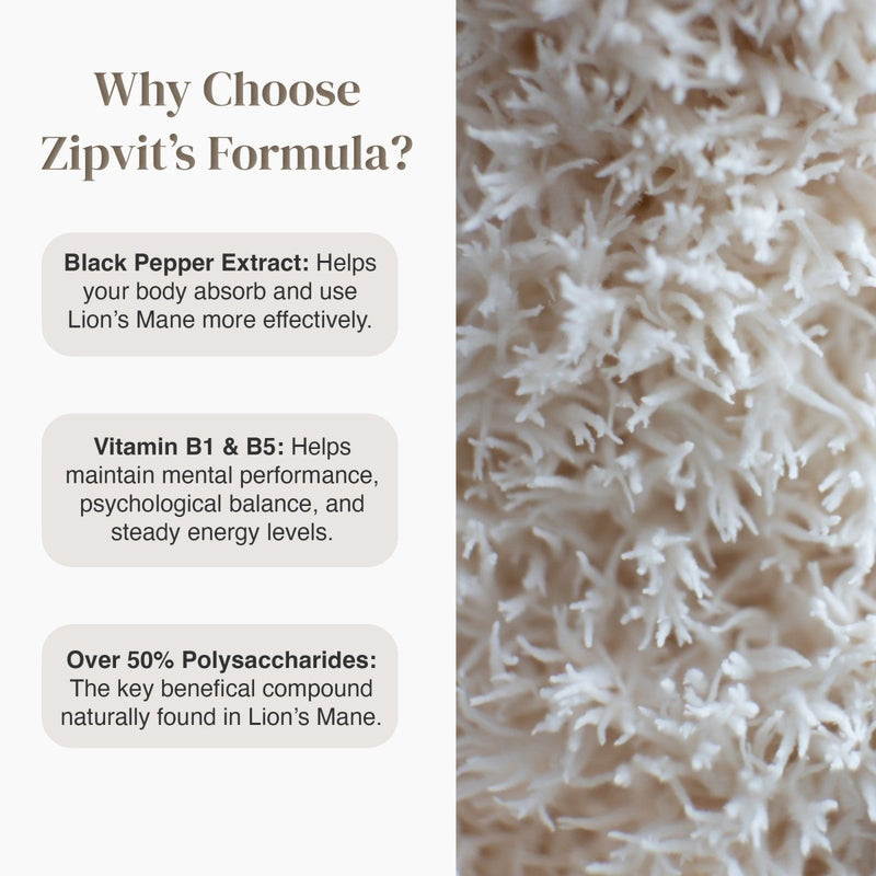 Benefits layout with three rounded text blocks detailing Black Pepper Extract Vitamin B1 and B5 and polysaccharides beside a close up Lion's Mane mushroom
